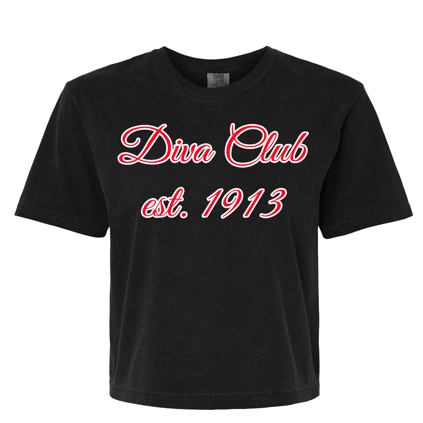 Dive Club Crop Top T-Shirt